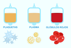 Imagen 1 -Transfusión de sangre. Nursea, plataforma de turnos exclusiva para enfermeras