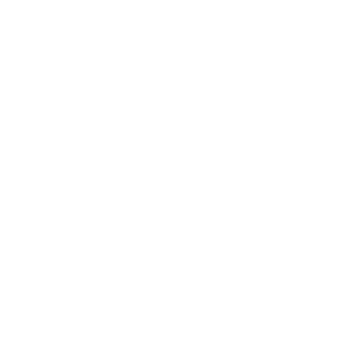 logo_icr